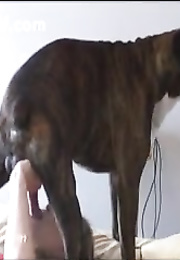 Gangbang Wife