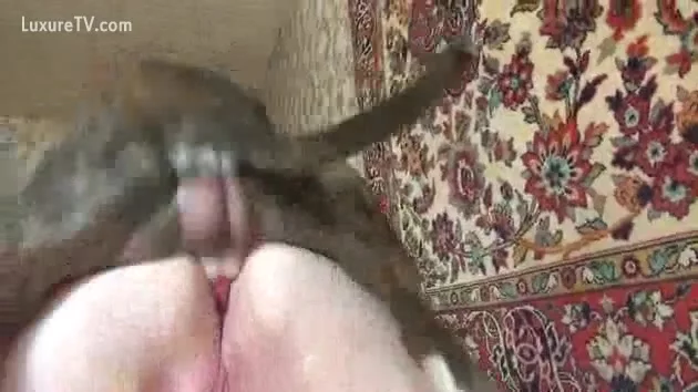 Sex With Pet