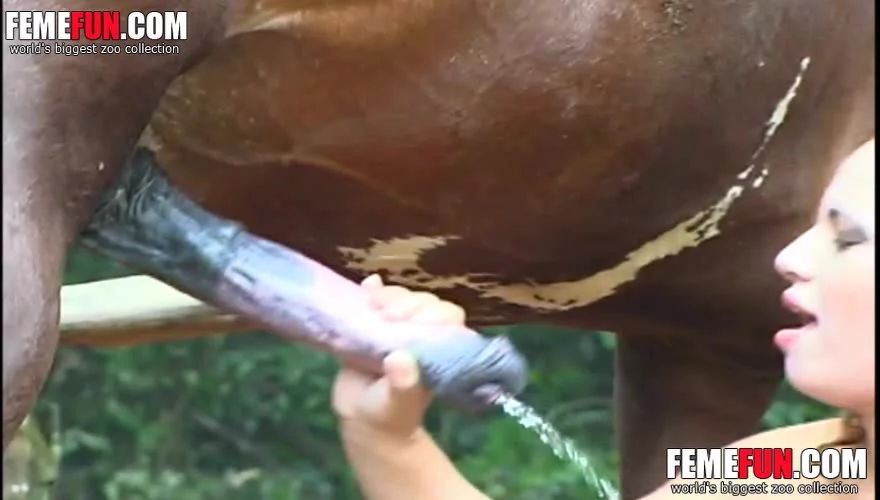 Horse Cumming In Womans Mouth