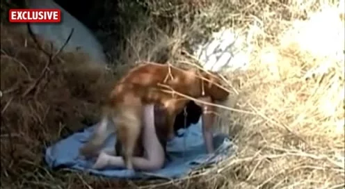 This slutty wife fucks in outdoor with her dog pic