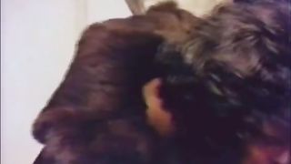 Horny stud licks smelly and bushy cunt of his messy brunette hair gal