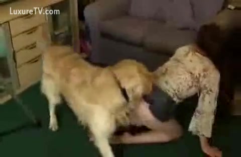 Assistant Dog licks his Masters Pussy