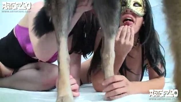2girl Dog Sex - Lucky dog with 2 sexy doxies - XXX FemeFun