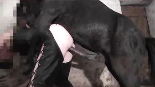 Harder Extreme Sex Videos