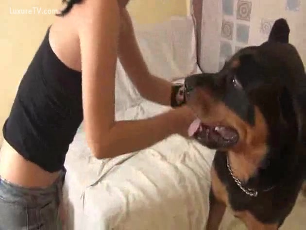 Two Beautiful Girls Fuck With A Dog - Dog fuck with a gorgeous woman - XXX FemeFun