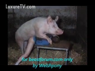 Man bows over for hog fucking - XXX FemeFun