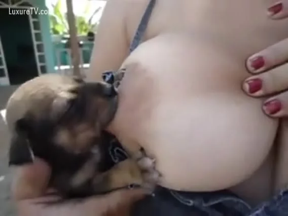 Bitch Is Breastfeeding Puppies 2328