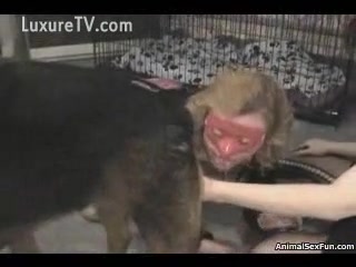 Slave white women forces to fuck her excited dog - XXX FemeFun