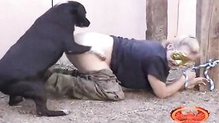 320px x 180px - Animal Sex as Punish and Humiliate ] Slave mom tied to post and ...