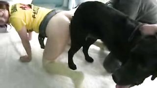 Animal sex Extreme Sex Videos, Page 2