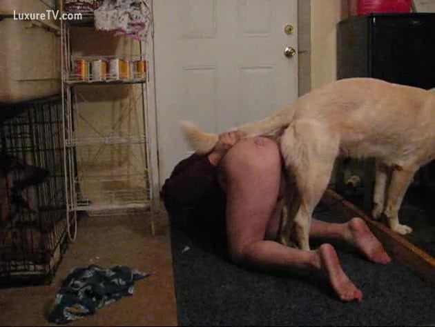 Man Ant Dog Xxnxx Cam - Male owner is mounted by his big dog - XXX FemeFun
