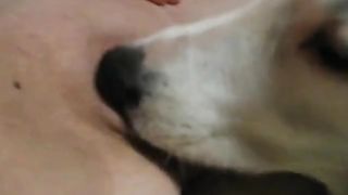 Sisters fuck dog in front of brother porn video ] Sexy as hell ...