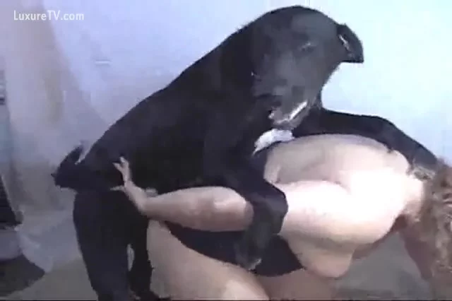 Black Dog Fucking On A Snatch XXX FemeFun