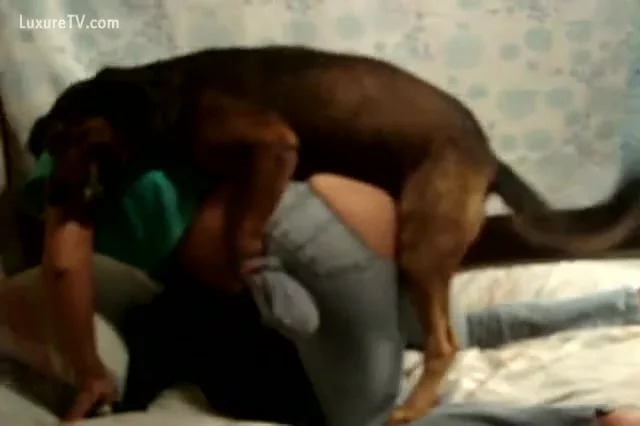 Dog humping on this woman.