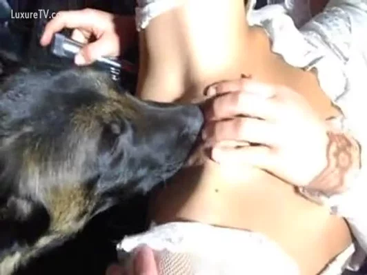 Black Dog Licking His Sexy Slaver XXX FemeFun