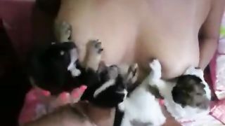Big Tits Milk Zoofilia Breastfeeding Puppy Porno