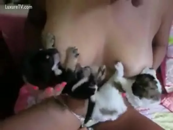 Puppies engulfing on her scoops.