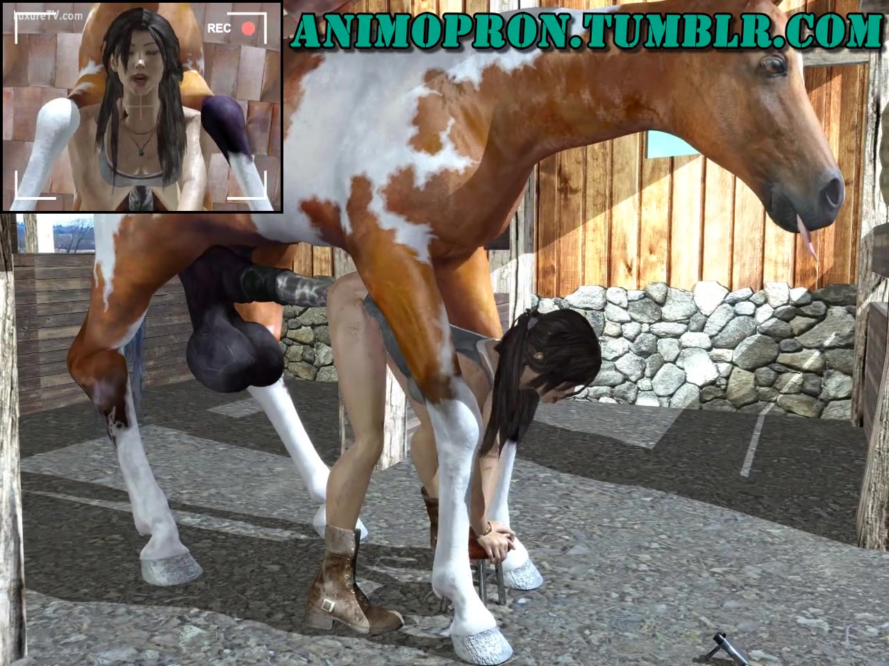 Horse Sex Cartoon Porn - Animated horse fucking a white bitch - XXX FemeFun