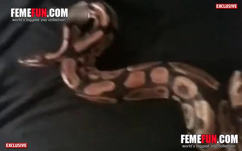 Man Fucks Female Snake - Snake coming out of her dark hole - XXX FemeFun