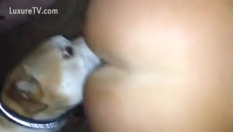 Wazoo licking anal doggy fuk