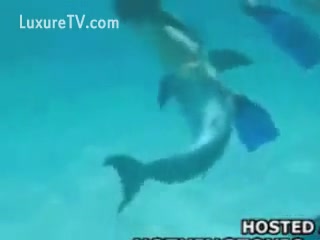 Dolphin follows woman in the water - XXX FemeFun