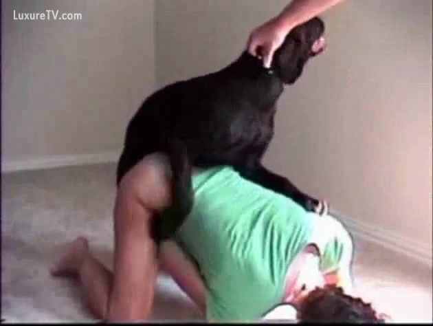 Dog Sex Bubai - Dogs fuck several whores - XXX FemeFun