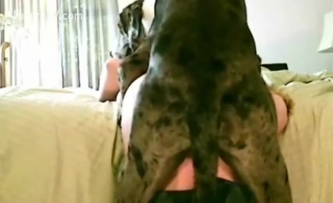 480px x 294px - Video shows dog fucking a woman - XXX FemeFun