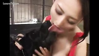 Japanese Dog Porn Kiss - Kissing Dog Unrated Videos