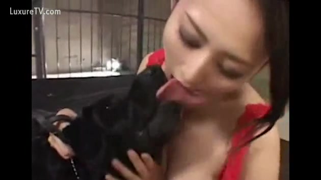 A compilation of women giving a kiss dogs - XXX FemeFun