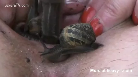 Snails And Worms In Pussy XXX FemeFun