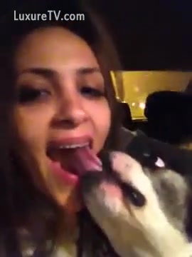 A Girl kisses the mouth of a dog - XXX FemeFun