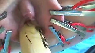 Pussy torment with clips