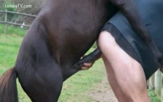 Ghodi Ghoda Fuck Video - A Horse provides Sexual gratification to a Man - XXX FemeFun