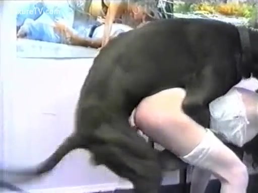Nackt dog girl Farm animal