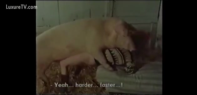 Woman makes animals cum inside her! Pig fuck her likewise.