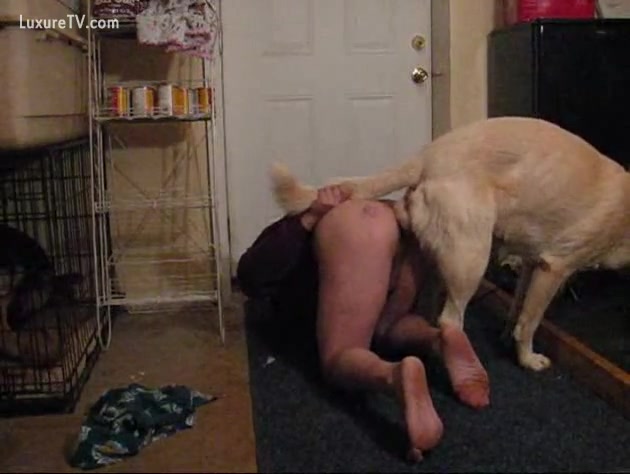 Girl And Dog Chudai Videos - A homosexual dog sodomize his taskmaster - XXX FemeFun