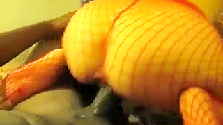 Big bottomed dark brown wifey in red fishnet hose is drilled doggy