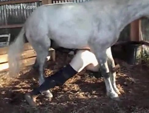 Horse Cock In Her Ass