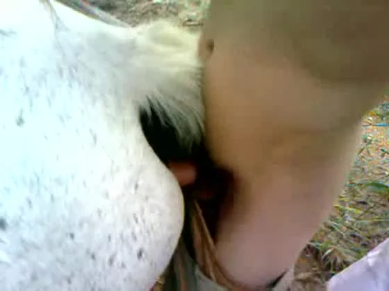 Horny Guy Enjoys Fucking His Horse While Alone On A Field XXX FemeF