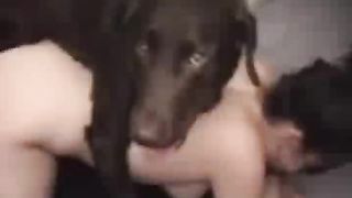 Black Labrador bonks a dark brown babe - XXX FemeFun