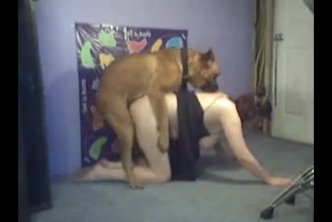 Bad Masti Dog - White Wife Fucking Old English Mastiff - XXX FemeFun