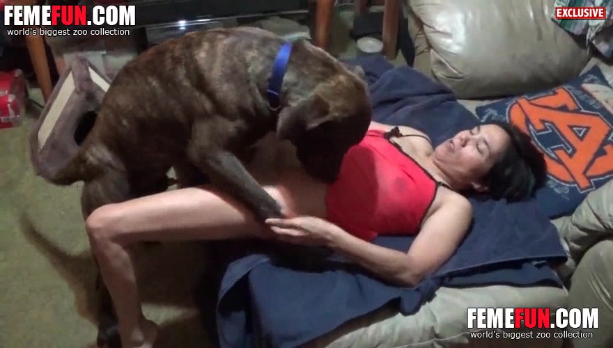 Amateur Milfs Try Dirty Sex With Partners Dog - Amateur Beastiality XXX ] Petite brunette wife moans as she's penetrated by  an animal - XXX FemeFun