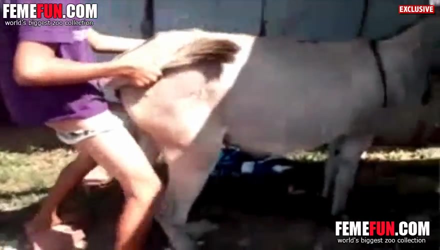 Women Having Sex With Donkeys - Porno With Donkey] Man fucking donkey on animal sex scene ...