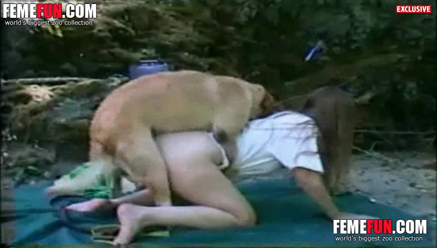 Rangoli Sex Hd - Wife Pet XXX Sex ] Outdoor walk turns into an awesome dog ...