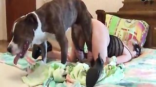 Amateur Milfs Try Dirty Sex With Partners Dog - Fucked dog Extreme Sex Videos