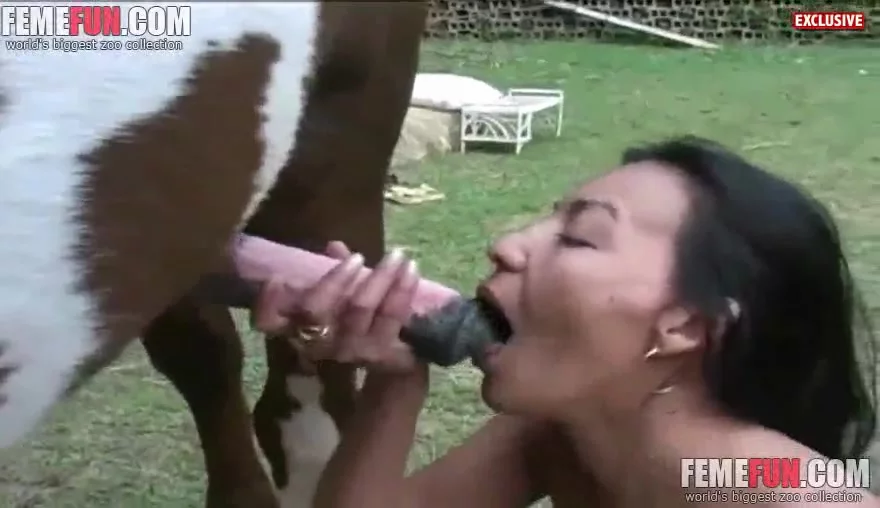 Girl sucking horses dick in smashing scenes of zoophilia blowjob XXX.