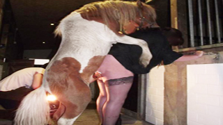 Animal sex horse video sons and milfs