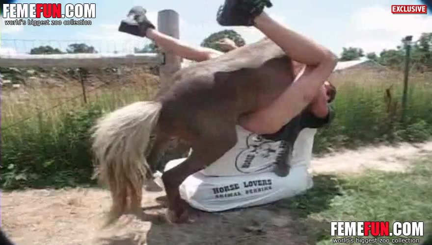 Animal Porn Horse Fucks Man - Horse fucks man in insane video while the man moans and ...