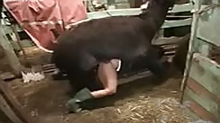 Hiran Sex Video - Wife Sex With Lama, Pig etc. ] Plump housewife takes a animal cock ...