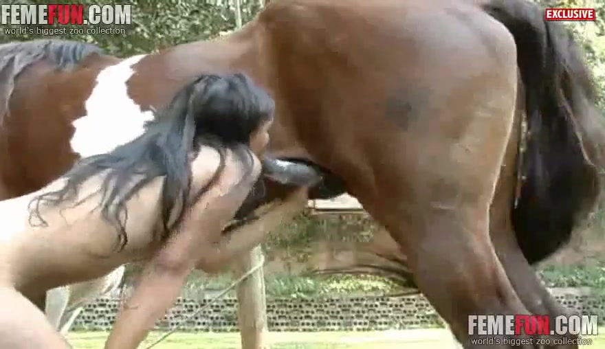 Hot sex with horses animal video along women avid for such huge dicks - XXX  FemeFun